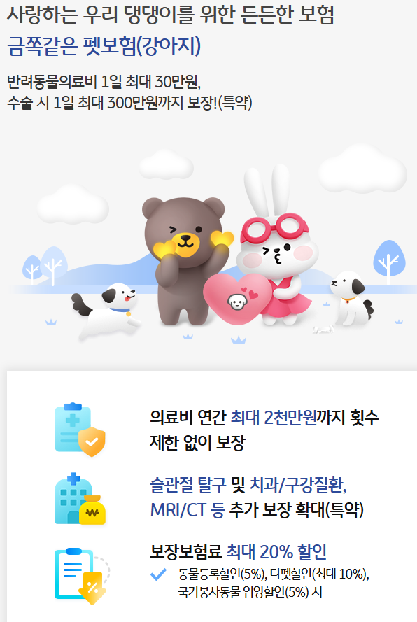 금쪽같은펫보험